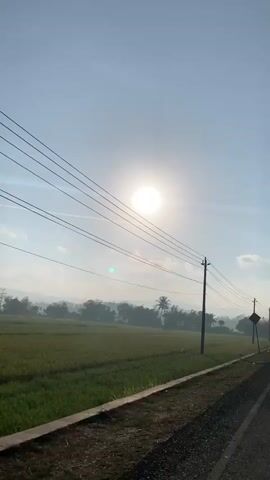 A vertical video captures a road with a field of green crops on the left, bordering a dirt and grass shoulder. Overhead, multiple power lines stretch across the sky, with the sun shining brightly and creating a lens flare. A wooden utility pole stands near the road, supporting the power lines. In the distance, a line of trees and buildings is visible, partially obscured by a light haze. The sky is clear and blue, with a few faint clouds. The camera appears to be moving slowly forward, suggesting the video was taken from a moving vehicle. There are no visible people or animals in the frame.