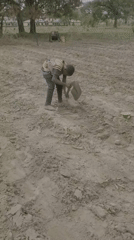 Farmers work fields with hand tools in Mararaba, Nigeria