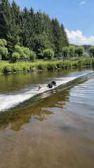 Sunny river day: swimming, rafting, and waterfall views