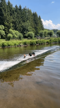 Sunny river day: swimming, rafting, and waterfall views