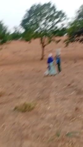The video shows two women carrying buckets on their heads walking on a dry, brown field with sparse vegetation. A tree is visible in the background. The video is slightly shaky. The women are wearing colorful clothing. Later, two men wearing robes walk into the frame and away from the camera. The sky is overcast.