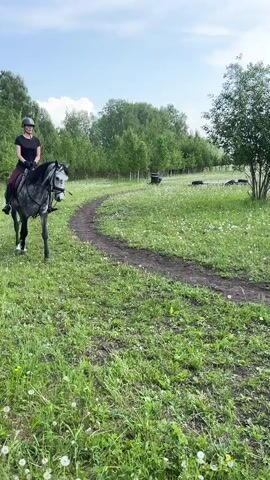 A person is riding a gray and white dappled horse on a dirt path through a grassy field with scattered trees and bushes. The person is wearing a black t-shirt, dark leggings, tall black boots, and a helmet. The horse is walking forward and the person appears to be looking straight ahead. The sky is cloudy.