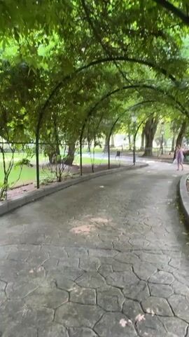 The video shows a stone pathway through a park, covered by an archway of green foliage. There are people walking on the pathway in the background. The pathway is made of large, irregular shaped stones. The foliage above is lush and green. The overall scene is peaceful and serene.