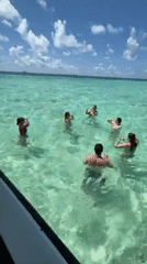 Groups dance and play in turquoise waters off Maafushi