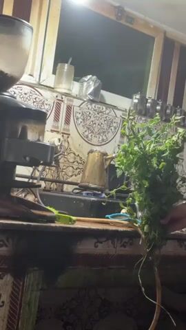 The video shows a bunch of mint with roots being held in the foreground of a kitchen scene. In the background, a vintage brass kettle is heating on a gas stove. The kitchen appears to be decorated with patterned tiles, and a coffee machine is visible on the counter.