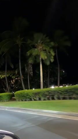 The video shows a nighttime view from a car driving on a road. Palm trees and other foliage are visible on the side of the road, with buildings in the background. A gray car is driving in the same direction. A person is visible standing on a small platform in the distance, near some bushes. The overall scene is dark, illuminated by streetlights and lights from the buildings.