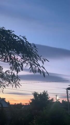 A tree branch with delicate leaves hangs from the upper left, silhouetted against a twilight sky painted in shades of deep blue and soft purple. Wispy, elongated clouds stretch horizontally across the sky, creating a textured, almost watercolor effect. Below the sky, a line of dark green trees and bushes forms a dense canopy. Peeking through the foliage are the roofs of several houses, suggesting a residential area. Electrical wires stretch across the scene, suspended between utility poles, one of which is visible on the right side of the frame. The horizon is illuminated by a faint orange glow, indicating the lingering light of a setting sun. The overall impression is one of quiet serenity as day transitions into night.