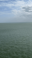 Maritime traffic observed across large waterway during afternoon hours