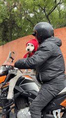 Rainy evening scenes captured in Puebla: motorcyclist, dog, delivery truck