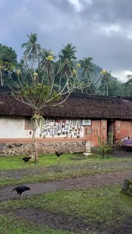The image depicts a traditional Balinese compound with a long, open-air building featuring a thatched roof. The wall of the building is adorned with a collection of masks and carved wooden figures, suggesting it might be a shop or a display of local crafts. Several chickens, including black roosters and hens, roam freely on the grassy and dirt courtyard in front of the building. A frangipani tree with yellow flowers stands in the foreground, adding a tropical element. In the background, lush green hills covered in palm trees rise under a cloudy sky.

The time of day appears to be late afternoon or early evening, given the soft, diffused light and the overcast weather, which lends a slightly subdued and atmospheric quality to the scene. The location cues, such as the architecture, the vegetation, and the presence of chickens, strongly suggest a rural or traditional setting in Indonesia, consistent with Manggis. A small sign is visible on the wall, but the text is illegible. A person is seated at a table on the far right of the building, adding a sense of gentle activity to the otherwise quiet scene. The overall impression is one of peaceful rural life, rich in local culture and natural beauty.