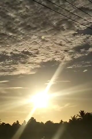 The video depicts a bright, diffused sunset illuminating a placid lake. The sun shines intensely through scattered clouds, creating pronounced sunbeams. The lake surface reflects the sun's light as a shimmering glare. The foreground and background consist of silhouetted trees, including palm trees, and vegetation. The overall scene conveys a sense of tranquility.