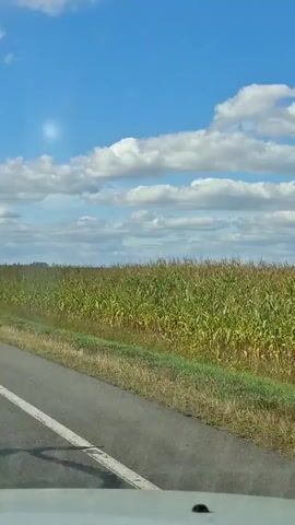 The video shows a view from inside a vehicle, looking out at a rural landscape. A paved road with a white line is visible in the foreground, running diagonally from the bottom left to the middle of the frame. To the right of the road is a field of green corn stalks stretching towards the horizon. The sky above is a bright blue with scattered white clouds. The footage appears to be recorded while the vehicle is in motion.