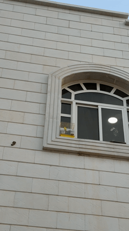 Caged yellow parakeet spotted on Al Ain building window ledge