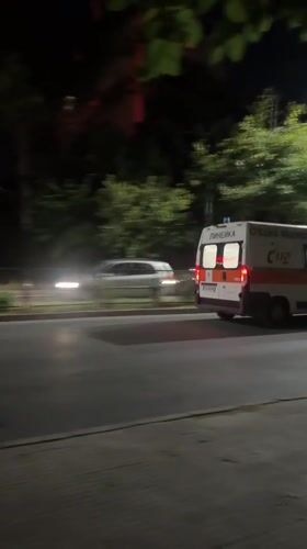 Fluffy cat at rest, ambulance in motion — a Plovdiv evening