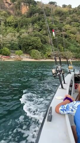 A fishing boat moves through the water creating a wake. Fishing rods are set up on the boat. The boat is near a coastline with a sandy beach and lush green hills.