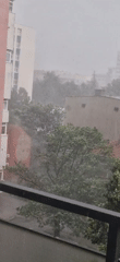 Rainy day in Lovech: cats, a pigeon, and a balcony storm