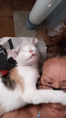 Woman documents lazy afternoon with cats in Viadana, Italy