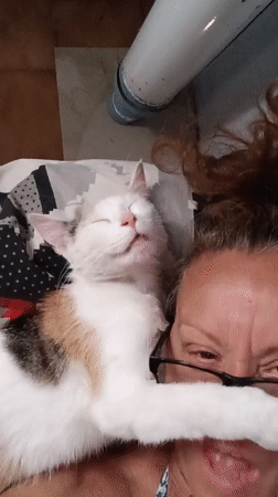 Woman documents lazy afternoon with cats in Viadana, Italy