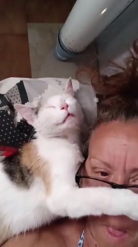 Woman documents lazy afternoon with cats in Viadana, Italy