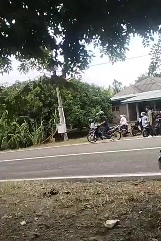 A video shows a group of people on motorcycles on a road next to a wooded area. The road is paved and appears to be in a rural setting. There are trees and foliage on both sides of the road. A house or building is visible in the background. Several motorcycles are stopped on the side of the road, and some people are gathered around them. One motorcycle is in motion, riding down the road. The overall impression is of a casual gathering or stop along a road.