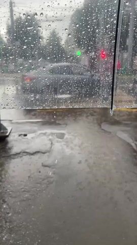 The video shows a close-up view of raindrops on a clear umbrella. Through the umbrella, a street scene is visible, featuring cars, traffic lights, trees, and wet pavement. The perspective suggests the video is taken from under the umbrella, looking out at the street. A person wearing a dark jacket is partially visible on the right side of the frame, holding the umbrella. The environment appears to be urban, with signs of recent rain, including puddles on the road. The traffic lights are visible and illuminated, indicating the presence of ongoing traffic. The overall atmosphere is damp and overcast, consistent with rainy weather.