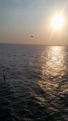 The video shows a body of water, possibly an ocean or large lake, reflecting sunlight from the setting sun. Several birds are flying above the water. The sky is a pale yellow-gray hue, with the sun appearing as a bright, round disc.  The water is rippled, and some darker patches are visible, potentially indicating underwater objects or variations in depth. There's no clear shoreline or other landmass visible in the frame.