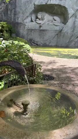 The video captures a close-up view of a fountain with water flowing into it. Behind the fountain, a carved lion monument is visible, embedded in a rock face. Green foliage surrounds the fountain, and a metal fence separates it from the path. The overall scene suggests an outdoor memorial or garden setting.