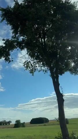 This video is a POV shot from a vehicle moving along a road. The scene is dominated by lush green trees on either side of the road, with the sky visible above. The sky is a bright blue with scattered white clouds. In the distance, fields and a cluster of trees can be seen. The camera pans slightly, capturing the movement of the trees and clouds. There are no people or other objects clearly visible in the frame.