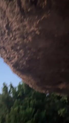 The video begins with a close-up of rough, reddish-brown rock texture, obscuring much of the frame. The camera then pans down and to the right, revealing a wide, scenic view of rolling green hills and trees under a clear, pale blue sky. As the video progresses, the sky transitions through shades of orange and yellow near the horizon, indicating either sunrise or sunset. The camera continues to pan right, revealing a body of water stretching towards the horizon, bordered by more lush green landscape and silhouetted hills. Small scattered lights are visible in the distance among the trees, suggesting a settlement. The final frames show more of the body of water and the gradually darkening sky. The overall scene is natural and serene, with no people or specific actions depicted. The environment appears to be a mountainous or hilly region with significant vegetation and a large water body.