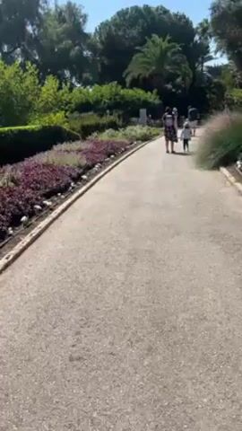 The video shows a gravel path curving through a lush garden on a sunny day.  A family, including at least two adults and a child, walks away from the camera along the path. The garden is bordered by manicured hedges, flower beds featuring purple and white flowers, and various trees, including palm trees. The path is lined with a concrete curb.  The sky is clear and blue. The environment appears peaceful and well-maintained.