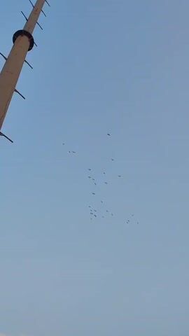 A flock of birds flies in a clear sky. A tall, light-colored pole with protruding metal supports is visible on the left side of the frame. The birds are scattered across the sky, some in small groups and others more dispersed. The sky is a pale blue with a few wispy clouds at the bottom of the frame. The image is taken from a low angle, looking upwards.