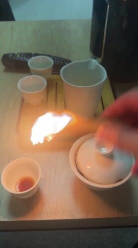 Evening tea ceremony with palo santo and pets in Belarus