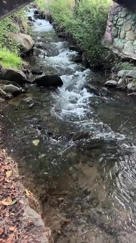 The media file shows a flowing stream with clear water rushing over rocks. The stream is surrounded by lush green vegetation on both sides, with some dry leaves and dirt on the left bank. Large, smooth stones are visible in the stream bed and along the banks. In the background, the stream narrows and disappears under a structure that appears to be a bridge or an archway, made of stones. The water is turbulent in some areas, creating white foam as it cascades over the rocks, suggesting a moderate flow.

The setting appears to be a natural, outdoor environment. The presence of dense foliage and rocks indicates a potentially wooded or mountainous area. The time of day is not explicitly indicated, but the lighting suggests it is daytime, possibly overcast or early morning/late afternoon given the soft light. The overall mood is tranquil and natural, emphasizing the peacefulness of the flowing water and surrounding greenery. There are no visible people or explicit text in the media file. The location context provided identifies this as Kakopetria, Cyprus, which would suggest a Mediterranean climate and landscape.