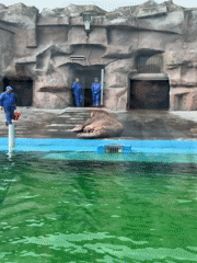 Afternoon zoo visit documented in Izhevsk, Russia