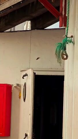This media file, filmed in Erkalovo, Russia, captures a close-up view of an exterior wall of a building, likely a boathouse or a similar structure near water. The scene is dominated by a white, weathered wall with visible signs of wear and tear.

A prominent feature is a white door, slightly ajar, revealing a dark interior. The door has a circular porthole with a yellow tint and two dark metal handles. To the left of the door, a bright red metal cabinet is mounted on the wall. The cabinet has two doors with a small latch and a red and white symbol that appears to be a fire extinguisher icon. White lettering on the cabinet reads "ГР-2", which is a Cyrillic abbreviation. In front of the cabinet and extending slightly into the frame is a wooden pallet, suggesting storage or construction materials.

Above the white wall, wooden beams and a red metal support beam are visible, indicating an overhead structure, possibly a roof or canopy. A thick green rope, frayed at the end, hangs from the upper structure and is secured to the wall by a metal hook. The rope is adorned with some green material, possibly additional rope or vegetation.

The lighting suggests it is daytime, though the weather is unclear due to the overcast sky visible at the very top of the frame. There are no people visible in the media file. The overall impression is one of a functional, somewhat rustic, and possibly maritime setting. The visible text "ГР-2" is a functional label, likely indicating the contents or purpose of the red cabinet.