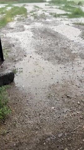 The video shows a ground-level view of a rural area during a rainstorm. The foreground is a gravelly, wet ground with several puddles forming. The texture of the gravel and the ripples on the water surface are clearly visible. To the left, a dark, rectangular object, possibly a piece of debris or construction material, lies partially embedded in the ground.

In the mid-ground and background, patches of green grass are interspersed with the wet, muddy ground. A long, rectangular brick building with a single window is visible on the left side of the frame. Behind it, more buildings and structures, including what appears to be industrial equipment or a grain elevator, can be seen. In the distance, a hazy landscape stretches out under an overcast sky, suggesting a cloudy or foggy weather condition. The overall scene depicts a desolate and wet environment.

The primary activity depicted is rainfall, evidenced by the numerous ripples on the puddles and the general wetness of the ground. The weather is clearly rainy and overcast, contributing to a somber or subdued atmosphere. The location context provided is Айдарлы, Kazakhstan. There is no visible text within the video. The time of day is not definitively indicated but the overcast conditions suggest it is daytime.