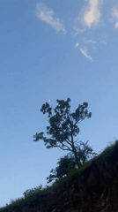 Hilltop landscapes and wildflowers in Tarale, India