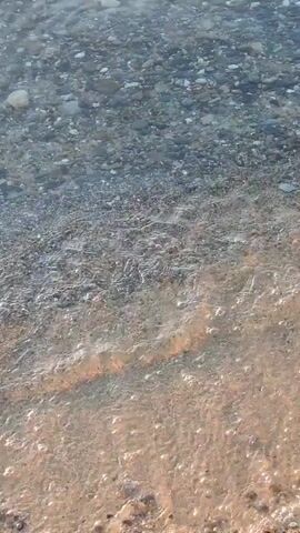 The video shows a close-up view of shallow, clear water lapping onto a sandy and pebbly shore. The water is slightly rippled, and the sunlight reflects off its surface. The seabed is visible through the water and consists of small stones and sand. The overall impression is a calm and serene beach scene.