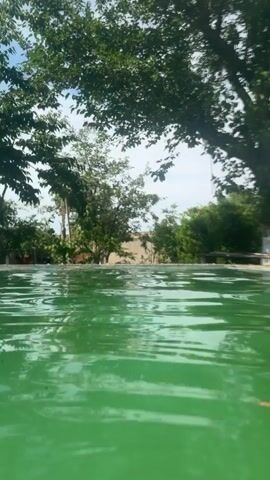 The video shows an underwater perspective of a swimming pool. The water is a greenish hue. Sunlight filters through the water, creating ripples and distorted shapes. Trees and vegetation are visible above the water's surface, creating shadows and reflections. The scene appears to be outdoors in a natural setting.