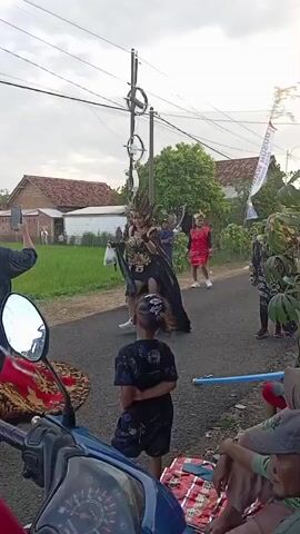 Here is a concise description of the video:

The video depicts a parade or procession taking place in a rural setting.  Several individuals are dressed in elaborate costumes, featuring headdresses and long gowns, walking down a narrow paved road lined with rice paddies. There are spectators on the sides of the road, with some recording the event on their phones.  Motorbikes are parked along the roadside, and people are observing from them as well.  Overhead power lines are visible, along with houses in the background.  The overall impression is that of a local celebration or festival.