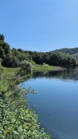The video shows a tranquil lake surrounded by lush green trees and rolling hills under a clear blue sky. The water is calm with gentle ripples, reflecting the vibrant green foliage and the vast expanse of the sky. The camera pans slowly across the scene, offering a panoramic view of the natural landscape. The overall impression is one of peace and serenity.