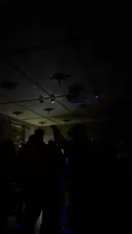 The video shows a dimly lit room, likely a nightclub, with people dancing. Several spotlights are rotating across the room, their beams of green, red, and blue light intermittently illuminating the silhouettes of the dancers. The ceiling is visible and features some sort of decorative pattern. The mood appears lively, with movement and music (though not audible in this description).