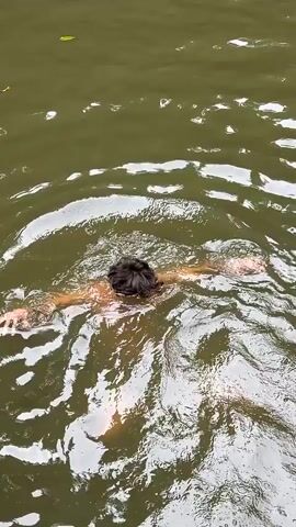 A young person is swimming in a body of water. The water is murky green and appears to be a natural setting with rocks and trees surrounding it. The person emerges from the water briefly, splashing and appearing to enjoy themselves. The camera then pans out to reveal a larger body of water with several other people swimming in it. A waterfall is visible in the background, cascading down a rocky cliff face. The overall scene suggests a recreational activity in a natural environment.