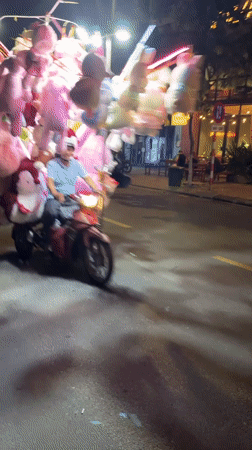 Motorcycle piled high with stuffed animals rolls through Đà Nẵng at night