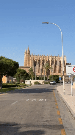 Afternoon tour around Palma's cathedral, waterfront, and gardens