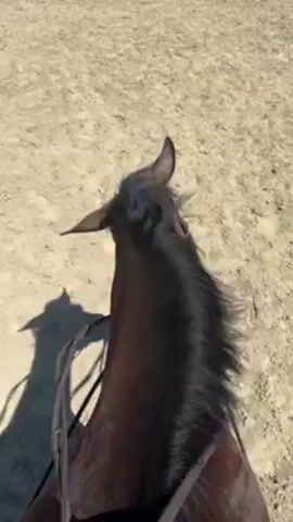 The video shows a point-of-view perspective of someone riding a dark-colored horse. The horse is in an arena or open space covered in tan dirt or sand. The horse's neck, ears, and the rider's hands holding the reins are visible. The horse's shadow is also prominent on the ground.