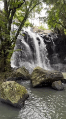 Early morning scenes captured at tropical waterfall in Selemadeg