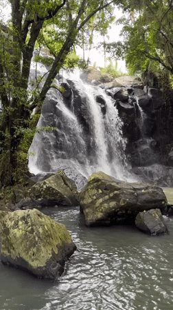 Early morning scenes captured at tropical waterfall in Selemadeg