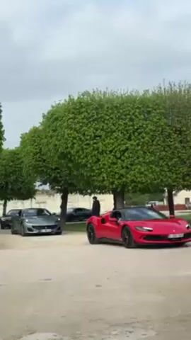 Here's a concise description of the video:

The video shows a parking area filled with luxury sports cars, including a red Ferrari in the foreground. A person in a black jacket is standing near a gray car parked next to the red Ferrari. The parking area is surrounded by trees with dense green foliage, and in the background, there's a building. The weather appears to be overcast.