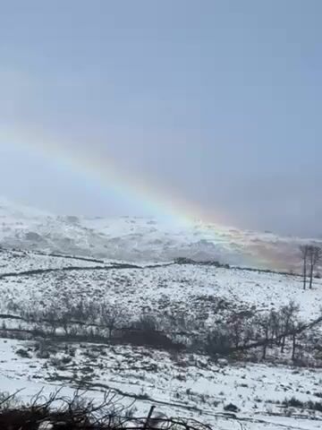 The video shows a snowy mountain landscape with a bright rainbow stretching across the sky. The landscape is covered in snow, with bare trees and shrubs scattered throughout. The sky is overcast, with a few patches of blue. A person wearing a dark blue hooded coat is standing in the snow. The camera pans from the rainbow to a view of the landscape below, then focuses on the person in the coat.